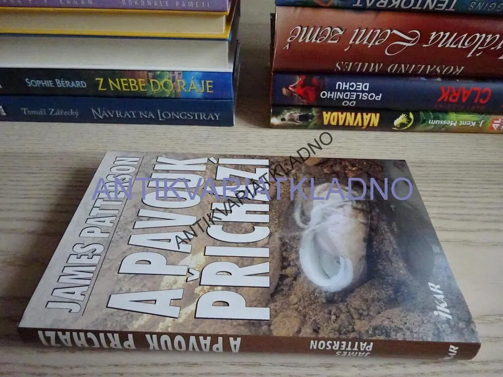 A PAVOUK PŘICHÁZÍ, JAMES PATTERSON, **an