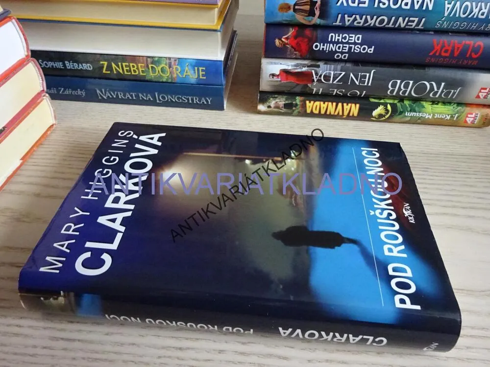 POD ROUŠKOU NOCI, MARY HIGGINS CLARKOVÁ, **an