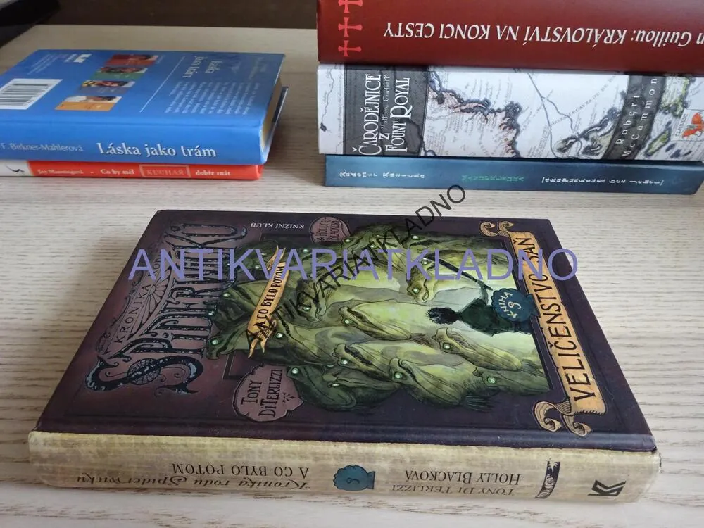 KRONIKA RODU SPIDERWICKŮ 3, VELIČENSTVO SAŇ, TONY DITERLIZZI, HOLLY BLACKOVÁ, **an