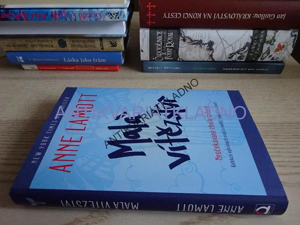 MALÁ VÍTĚZSTVÍ, ANNE LAMOTTOVÁ, **an