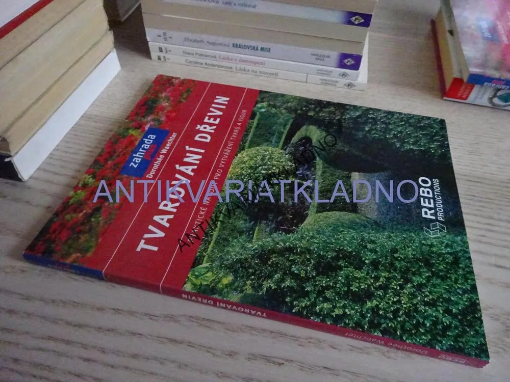 TVAROVÁNÍ DŘEVIN, DOROTHÉE WAECHTER, **an