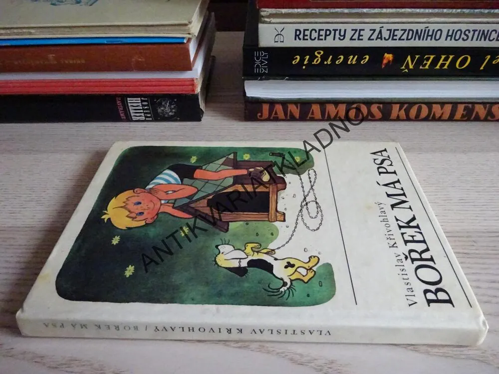 BOŘEK MÁ PSA, VLASTISLAV KŘIVOHLAVÝ, **an