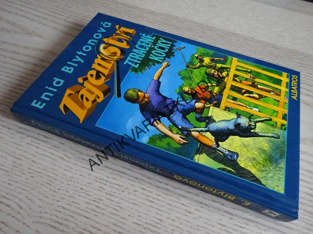 TAJEMSTVÍ ZTRACENÉ KOČKY, ENID BLYTONOVÁ, **an