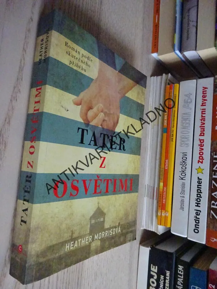 TATÉR Z OSVĚTIMI, HEATHER MORRISOVÁ,*an