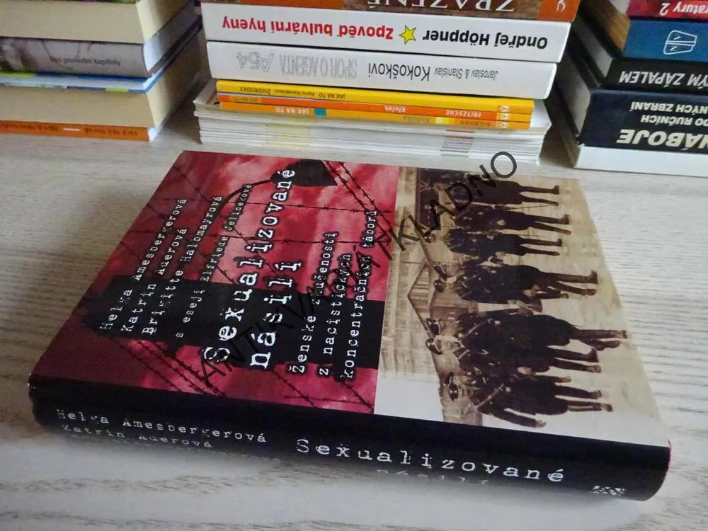 SEXUALIZOVANÉ NÁSILÍ, HELGA AMESBERGEROVÁ A DALŠÍ, **an