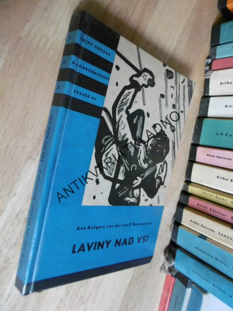 KOD 49 - LAVINY NAD VSÍ, ANN RUTGERS VAN DER LOEFF BASENAUOVÁ, **an