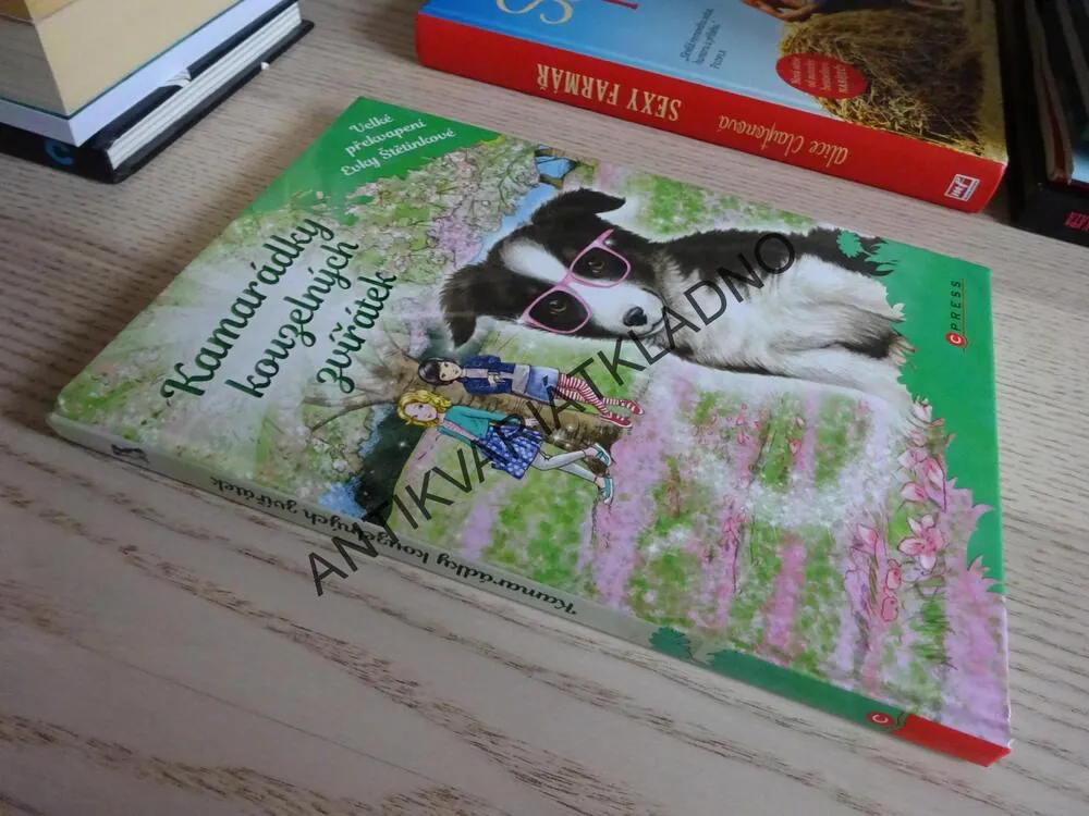 KAMARÁDKY KOUZELNÝCH ZVÍŘÁTEK, VELKÉ PŘEKVAPENÍ EVKY ŠTĚTINKOVÉ, **an