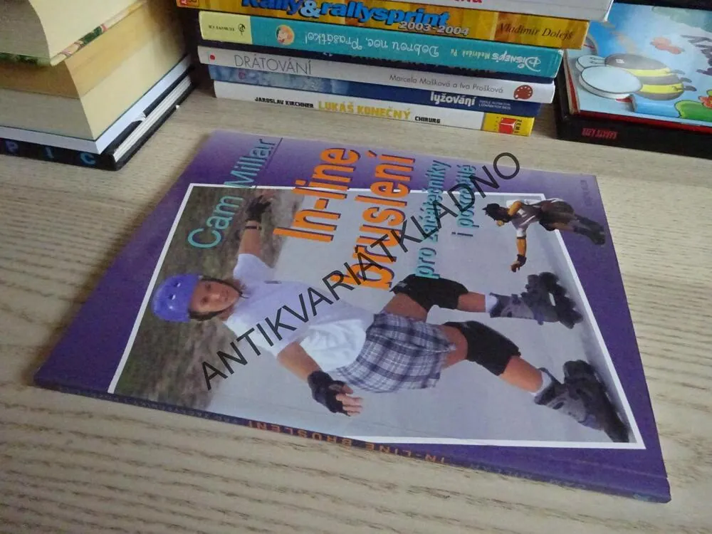 IN-LINE BRUSLENÍ PRO ZAČÁTEČNÍKY I POKROČILÉ, CAM MILLAR, **an