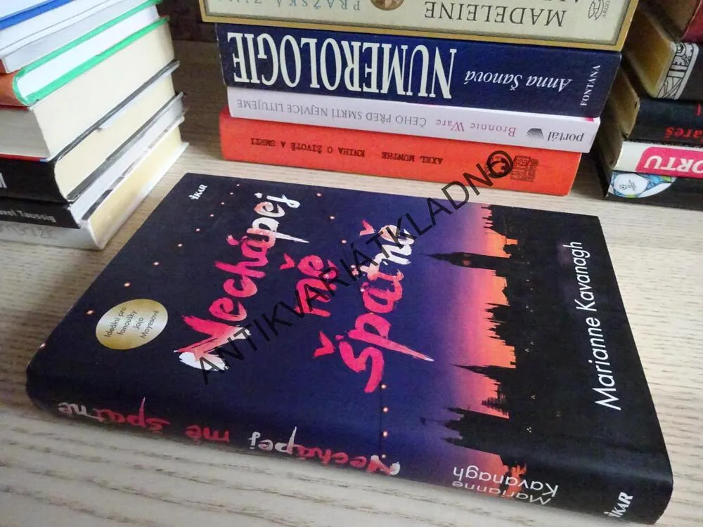 NECHÁPEJ MĚ ŠPATNĚ, MARIANNE KAVANGH, **an