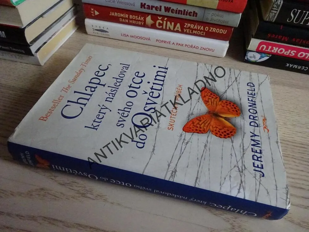 CHLAPEC, KTERÝ NÁSLEDOVAL SVÉHO OTCE DO OSVĚTIMI, JEREMY DRONFIELD, **an