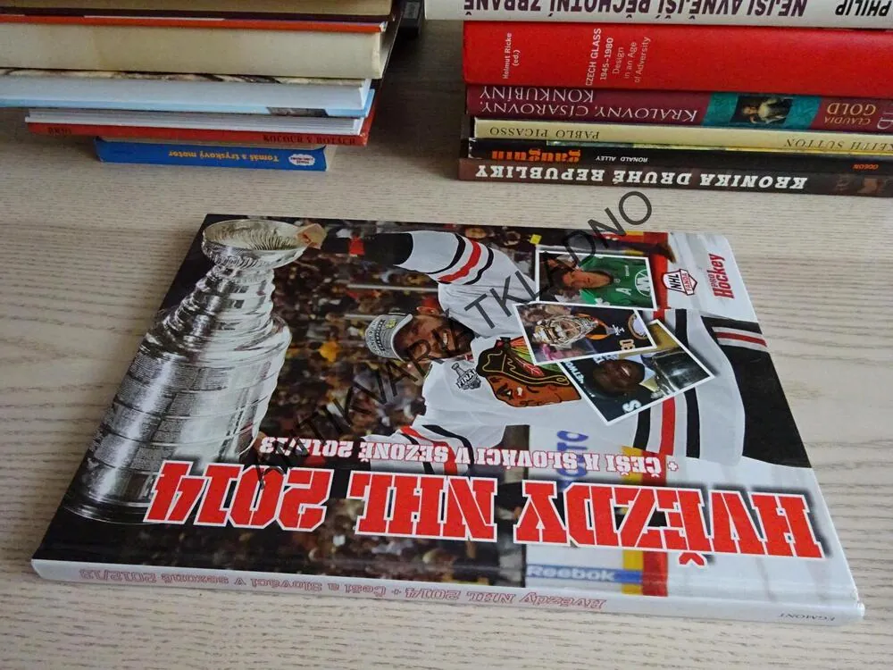 HVĚZDY NHL 2014, ČEŠI A SLOVÁCI V SEZONĚ 2012/13, LEDNÍ HOKEJ, **an
