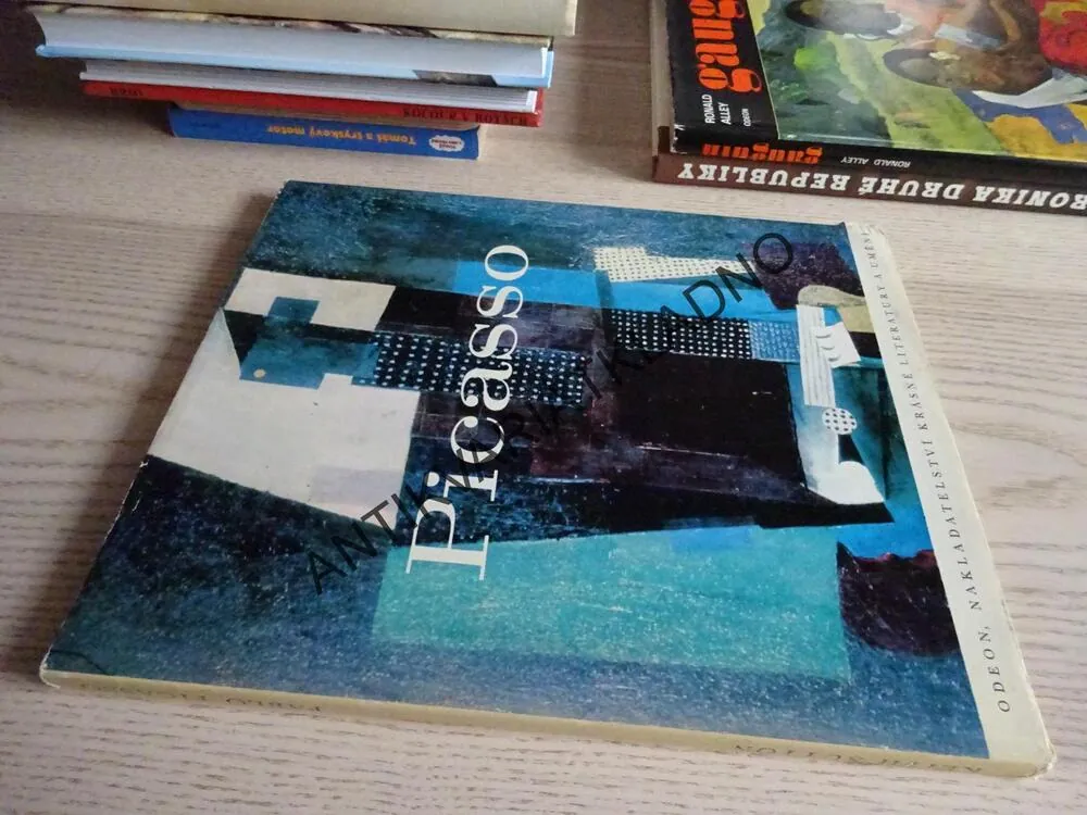 PICASSO, **an
