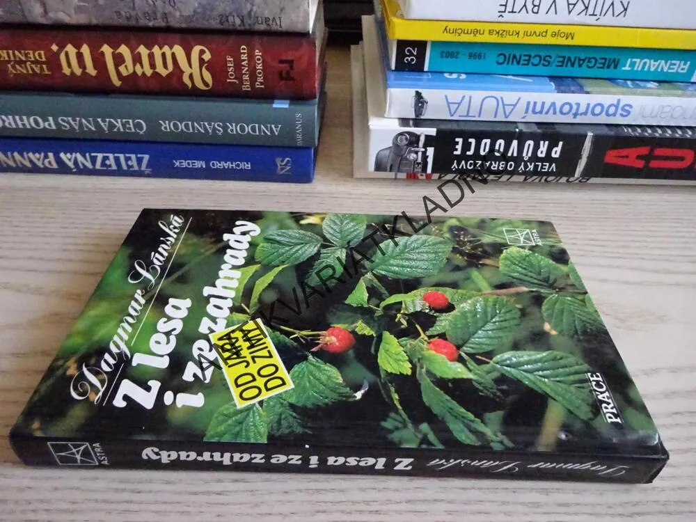 Z LESA I ZE ZAHRADY OD JARA DO ZIMY, DAGMAR LÁNSKÁ, **an