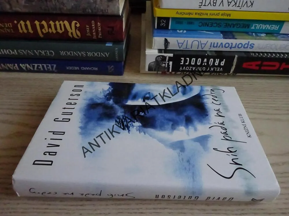 SNÍH PADÁ NA CEDRY, DAVID GUTERSON, **an