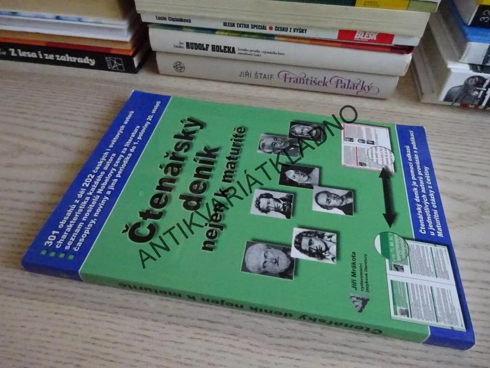 ČTENÁŘSKÝ DENÍK NEJEN K MATURITĚ, LITERATURA