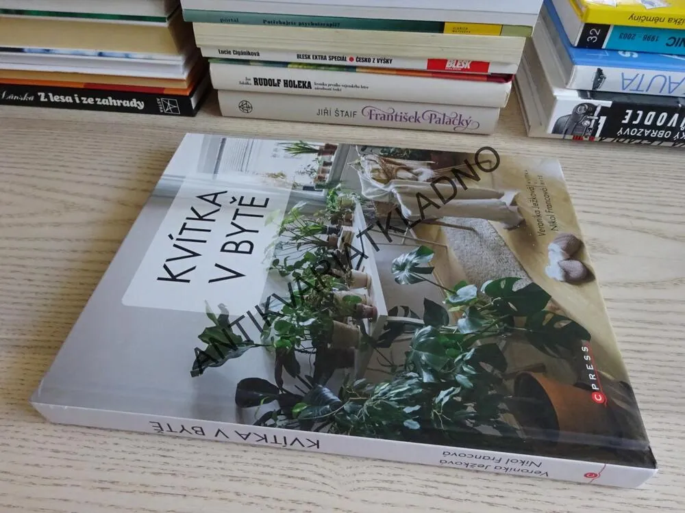 KVÍTKA V BYTĚ, VERONIKA JEŽKOVÁ, NIKOL FRANCOVÁ, **an