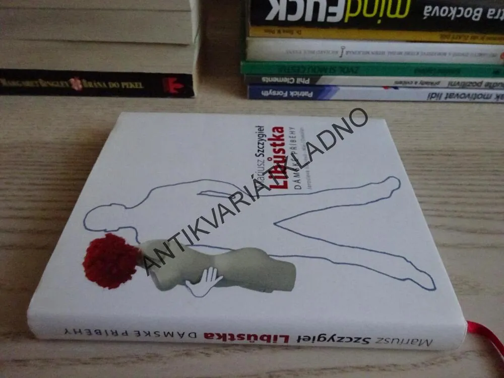 LIBŮSTKA, MARIUSZ SZCZYGIEL, **an