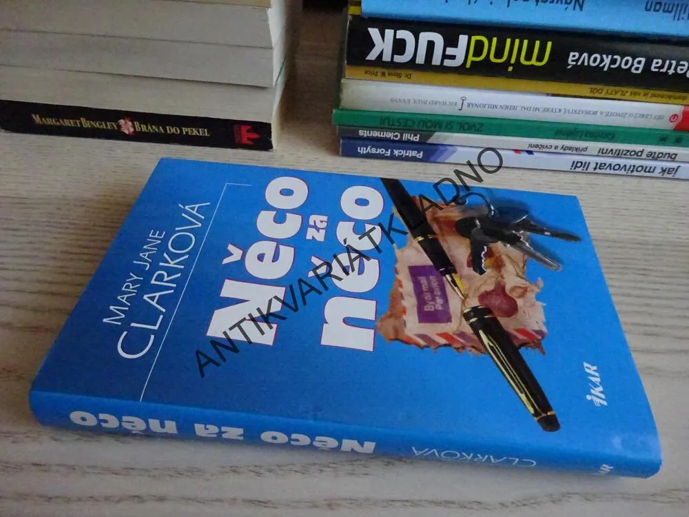NĚCO ZA NĚCO, MARY JANE CLARKOVÁ, **an
