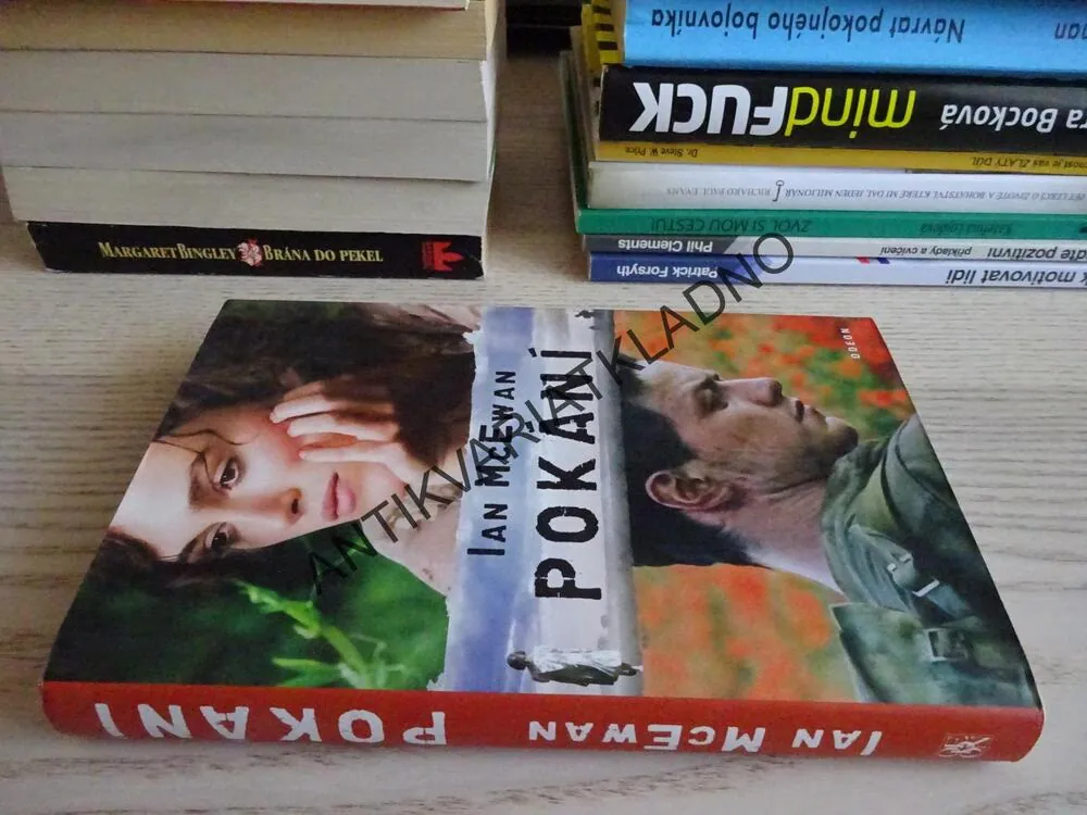 POKÁNÍ, IAN MCEWAN, **an