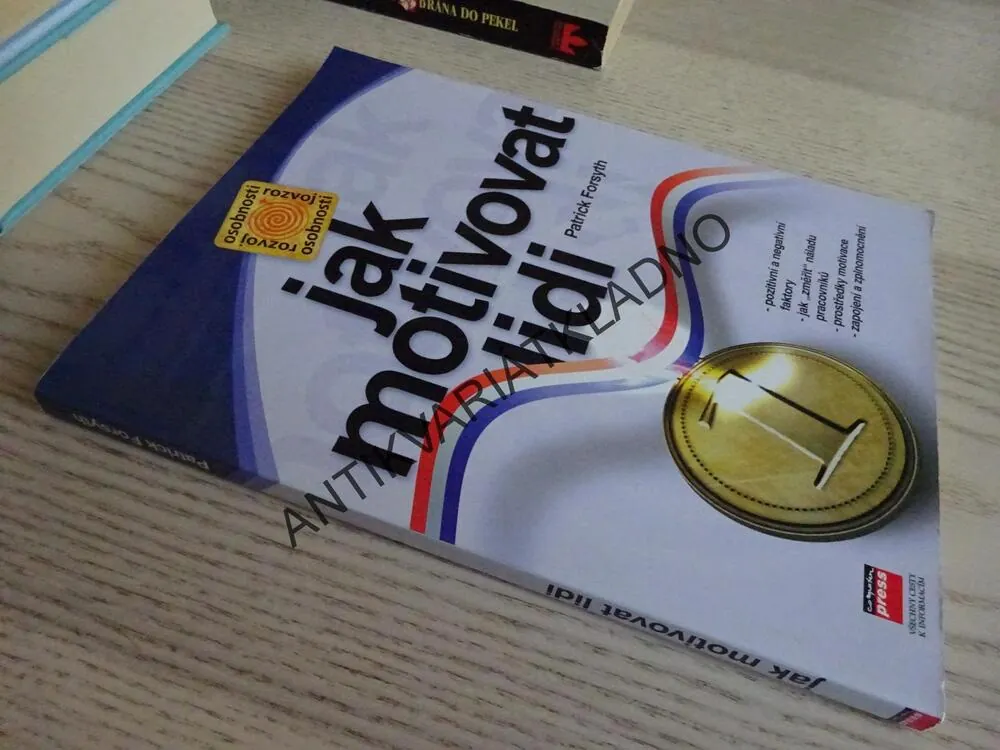 JAK MOTIVOVAT LIDI, PATRICK FORSYTH, **an