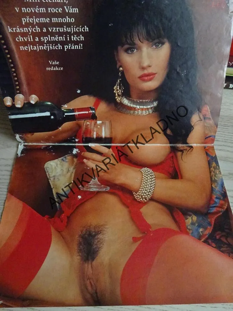 SUPER KALENDÁŘ 1995, LEO, GIGANT, 