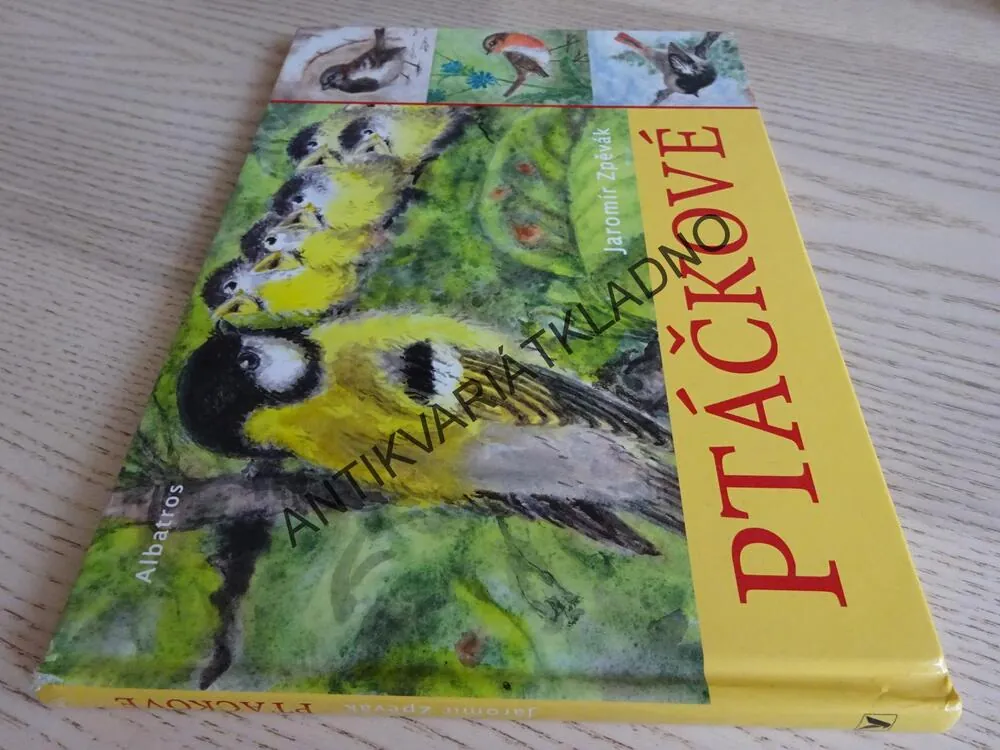 PTÁČKOVÉ, JAROMÍR ZPĚVÁK, **an