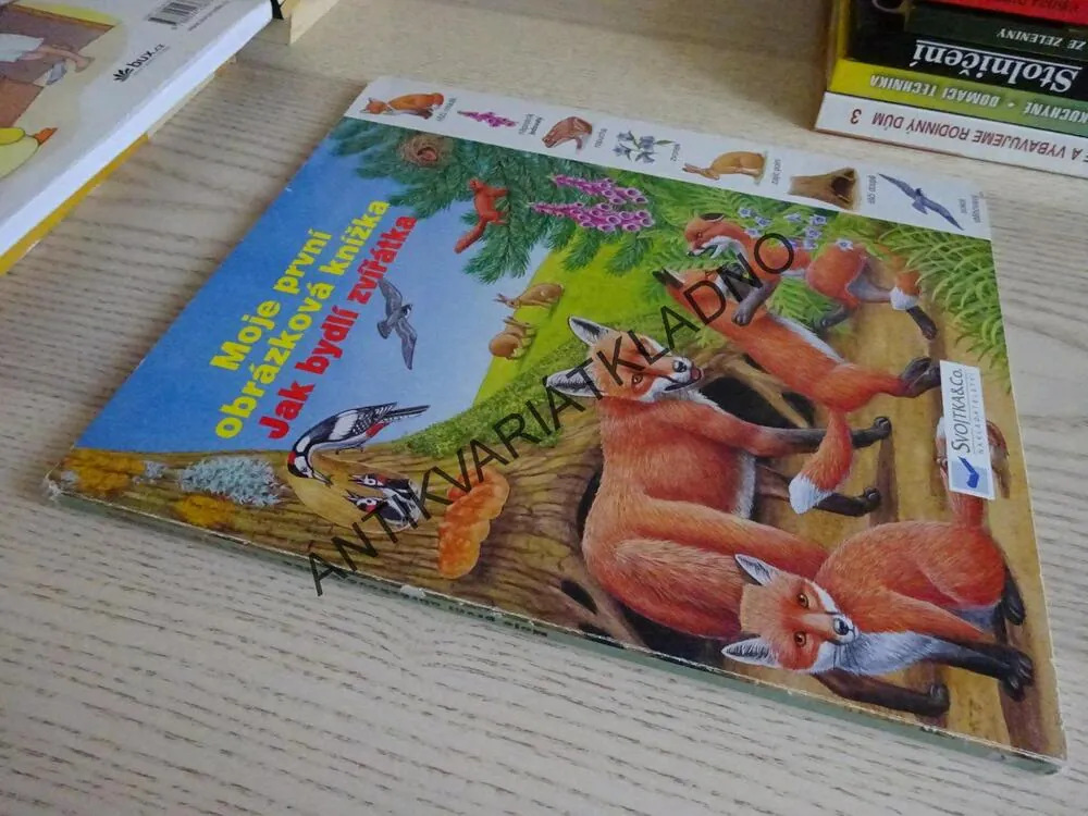 MOJE PRVNÍ OBRÁZKOVÁ KNÍŽKA, JAK BYDLÍ ZVÍŘÁTKA, **an
