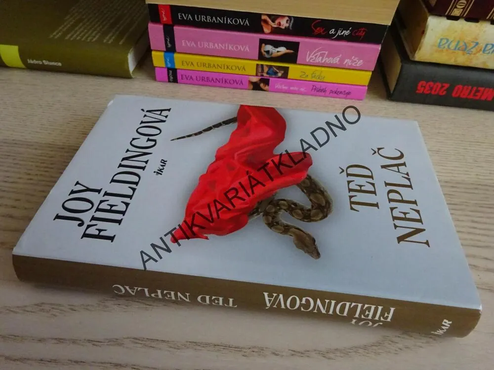 TEĎ NEPLAČ, JOY FIELDINGOVÁ, **an