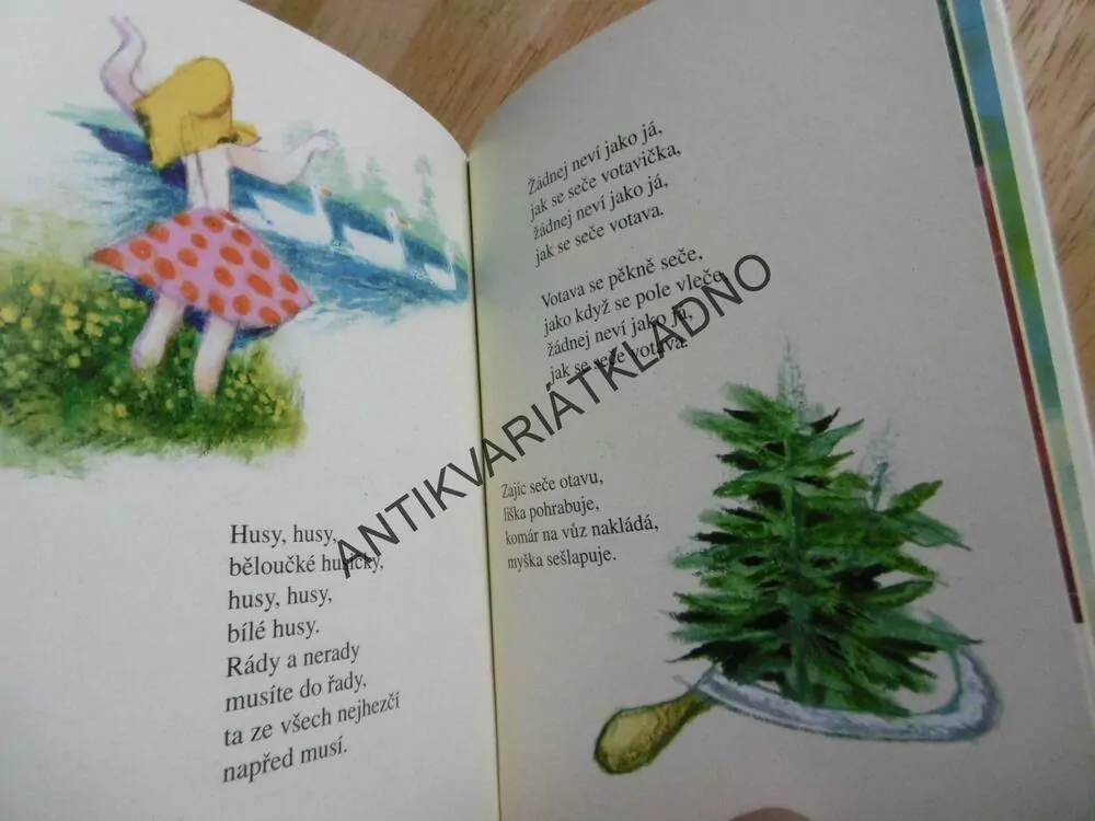 LETNÍ ŘÍKADLA, JIŘÍ TRNKA, 