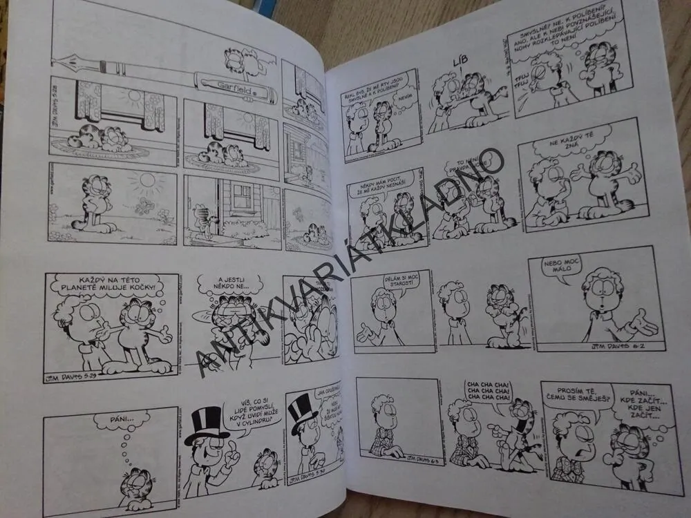 GARFIELD ZVAŽUJE MOŽNOSTI, JIM DAVIS, **an