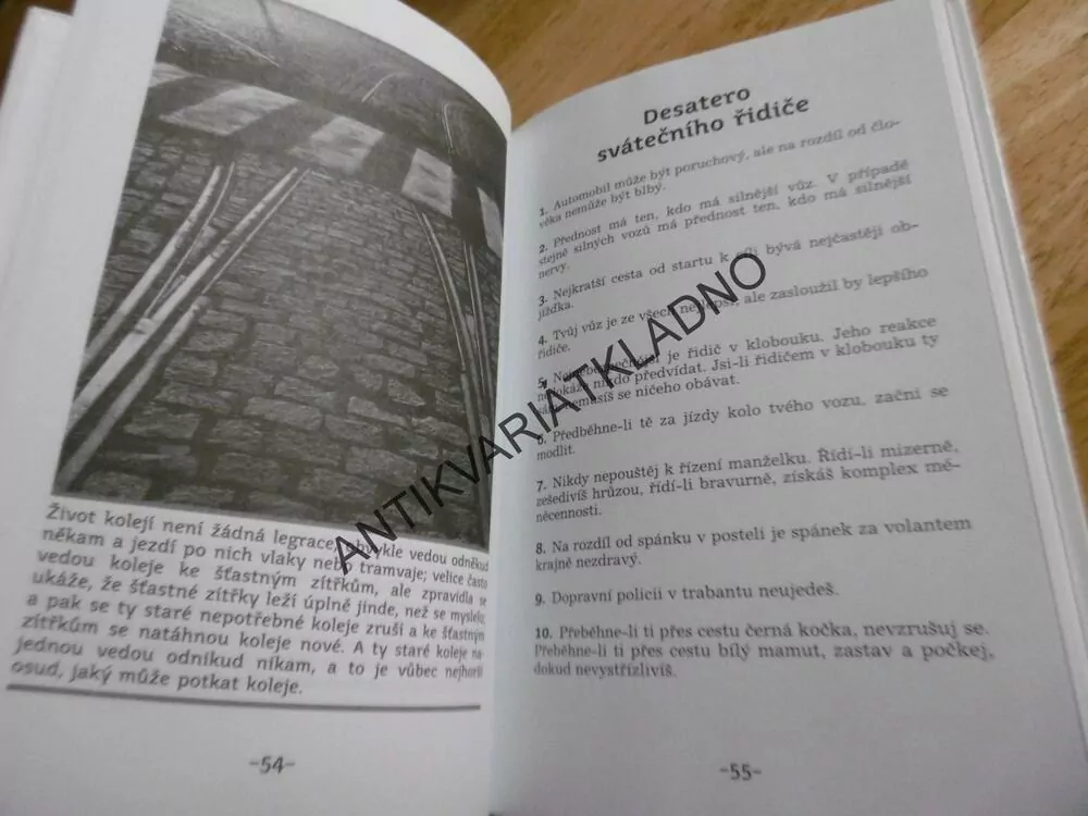 JAK JSEM POTKAL MOŘSKOU PANNU, JIŘÍ ŽÁČEK