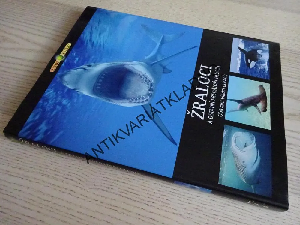 ŽRALOCI A OSTATNÍ PREDÁTOŘI HLUBIN, OBÁVANÍ VLÁDCI OCEÁNŮ, **an