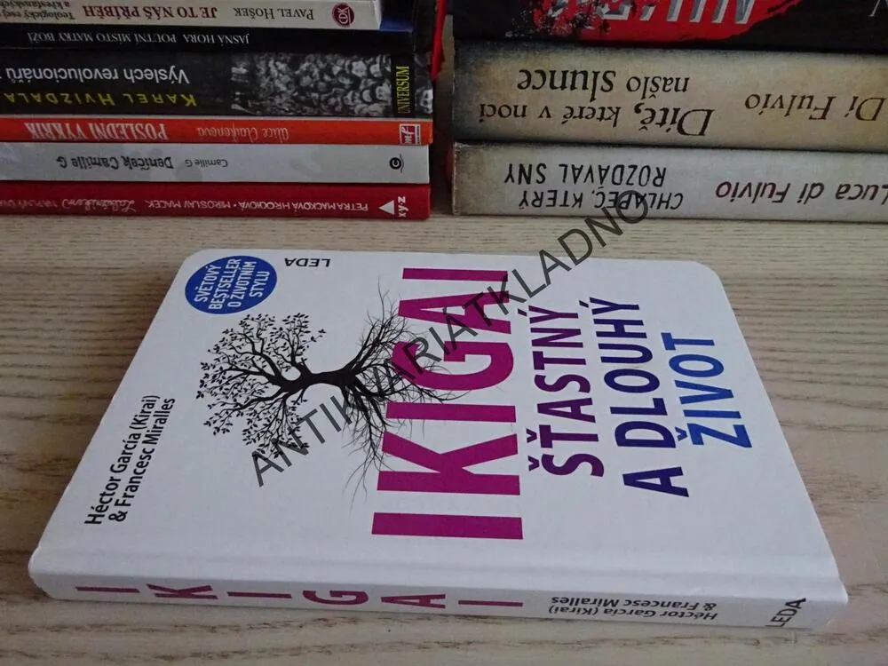 IKIGAI, ŠŤASTNÝ A DLOUHÝ ŽIVOT, HÉCTOR GARCÍA (KIRAI), FRANCESC MIRALLES, **an
