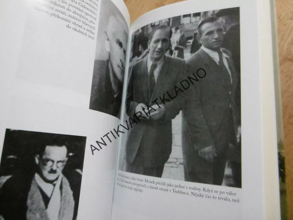 ÚTĚK Z TREBLINKY, TREBLINKA, CHIL RAJCHMAN, VÁLKA, KONCENTRAČNÍ TÁBOR