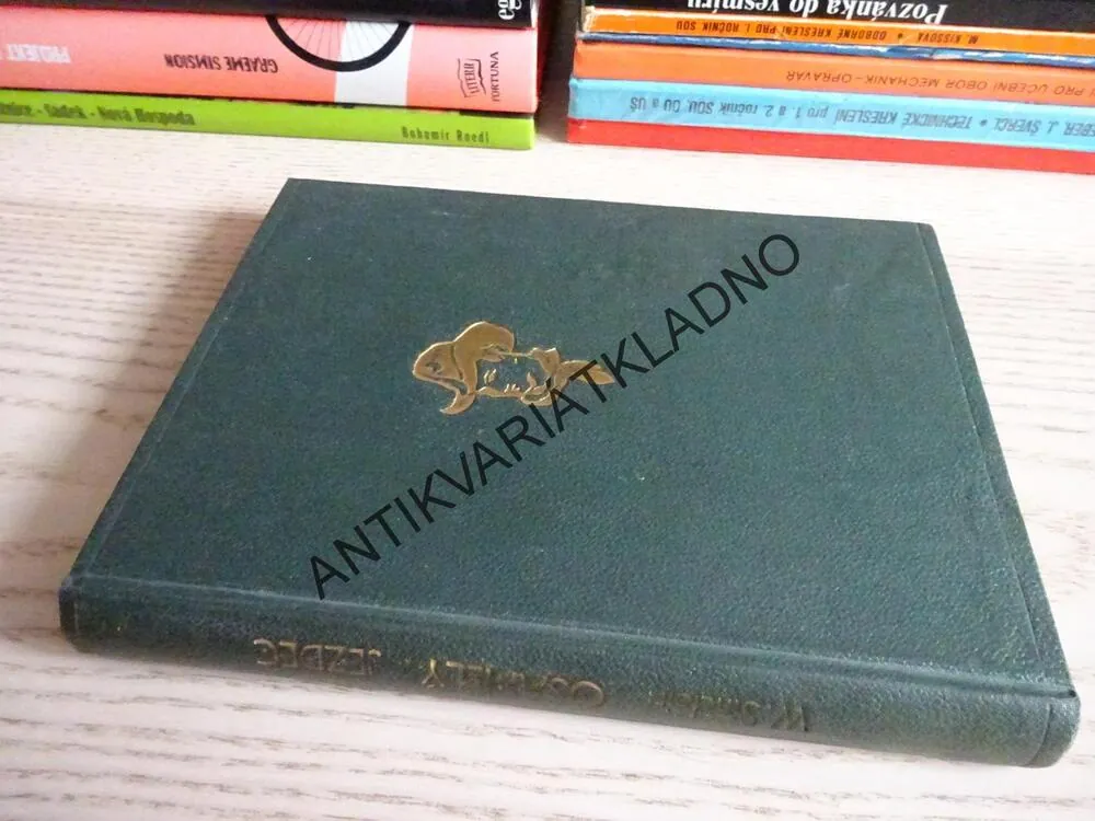 OSAMĚLÝ JEZDEC, BERTRAND W. SINCLAIR, **an