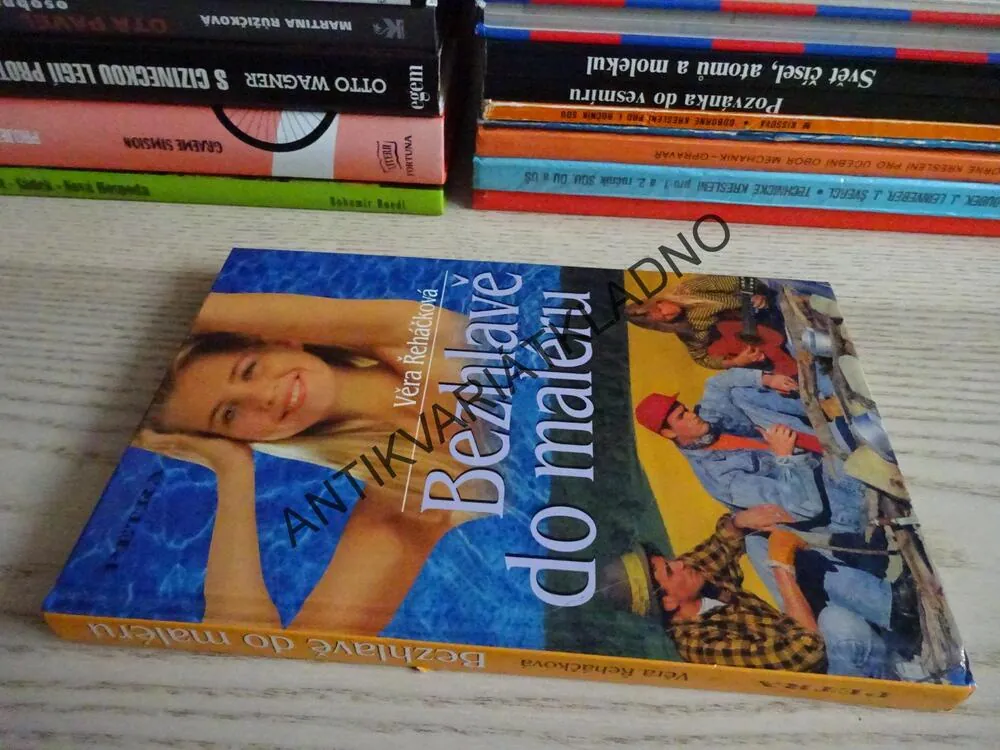 BEZHLAVĚ DO MALÉRU, VĚRA ŘEHÁČKOVÁ, **an