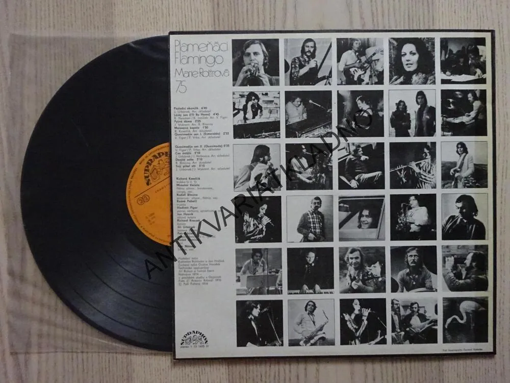 PALMEŇÁCI, FLAMINGO, MARIE ROTTROVÁ, 75, LP