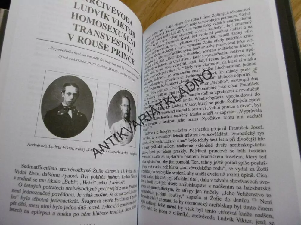ČERNÉ OVCE MEZI HABSBURKY, VYVRŽENCI, PROSTOPÁŠNÍCI SLAVNÉHO RODU,DICKINGER