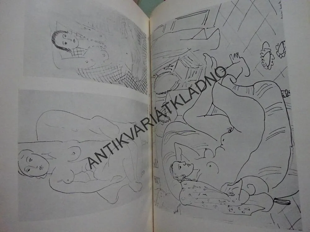 SOUBOR UMĚNÍ - REMBRANDT, MÁNES, ZRZAVÝ, GOYA, MICHELANGELO, MATISSE A DALŠÍ (CELKEM 12 KNIH) **an