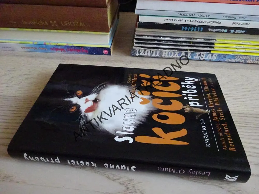 SLAVNÉ KOČIČÍ PŘÍBĚHY, LESLEY O'MARA, **an