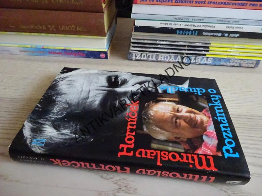 POZNÁMKY O DIVADLE, MIROSLAV HORNÍČEK, **an