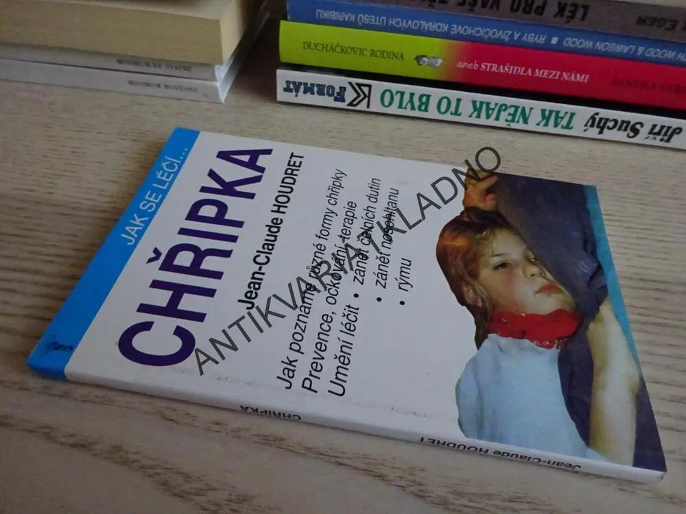 JAK SE LÉČÍ... CHŘIPKA, JEAN-CLAUDE HOUDRET, **an