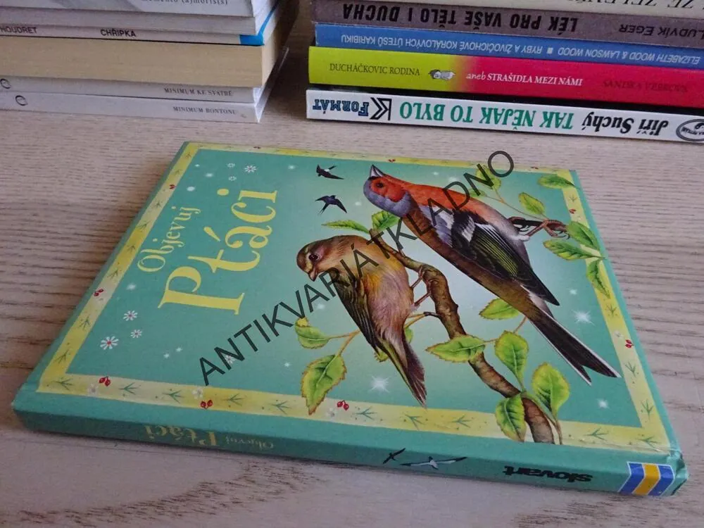 PTÁCI, **an