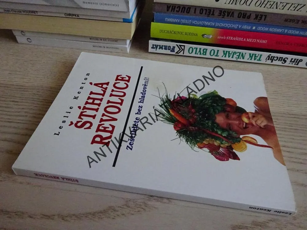 ŠTÍHLÁ REVOLUCE, LESLIE KENTON, **an