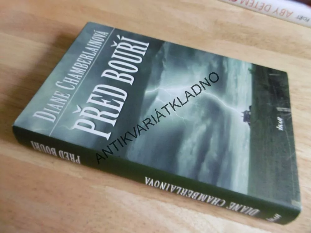 PŘED BOUŘÍ, DIANE CHAMBERLAINOVÁ, **an