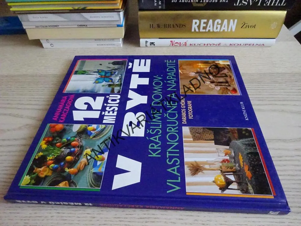 12 MĚSÍCŮ V BYTĚ, KRÁŠLÍME DOMOV: VLASTNORUČNĚ A NÁPADITĚ, **an