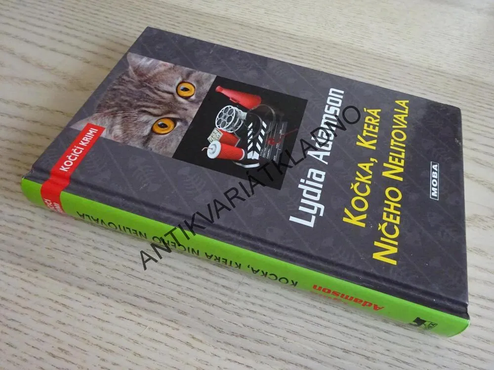 KOČKA, KTERÁ NIČEHO NELITOVALA, LYDIA ADAMSON, **an