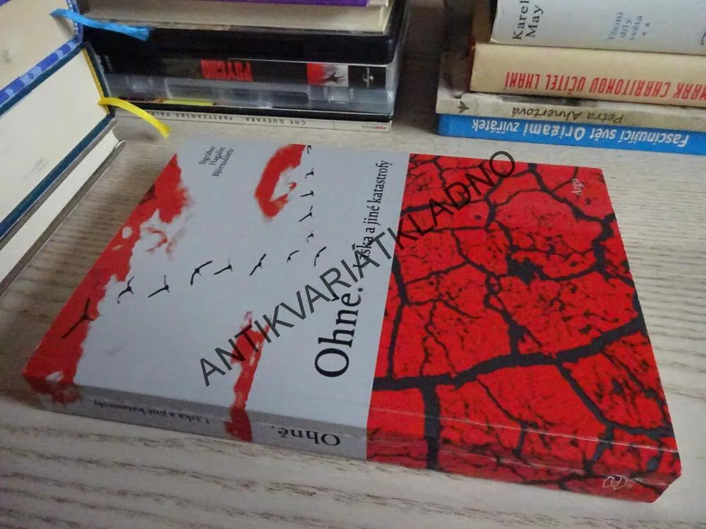 OHNĚ. LÁSKA A JINÉ KATASTROFY, SIGRÍDUR HAGALÍN BJÖRNSDÓTTIR, **an