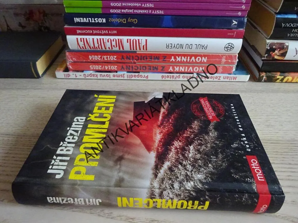 PROMLČENÍ, JIŘÍ BŘEZINA, **an