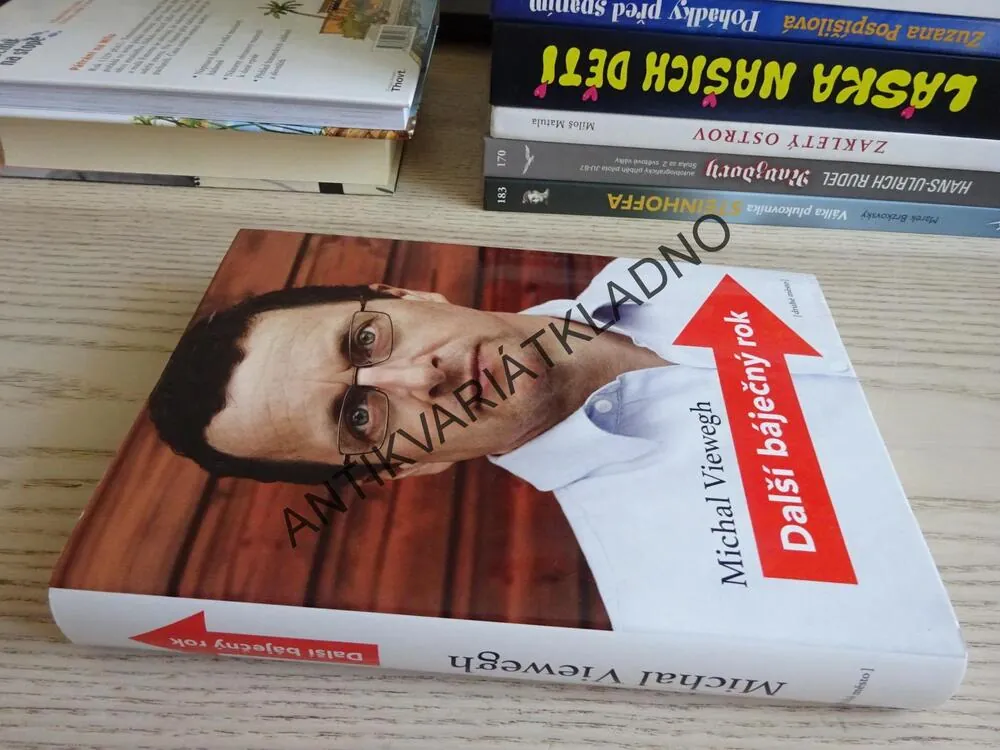 DALŠÍ BÁJEČNÝ ROK, MICHAL VIEWEGH, **an